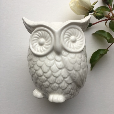 White Ceramic Owl Bank Ornament