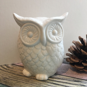 White Ceramic Owl Bank Ornament