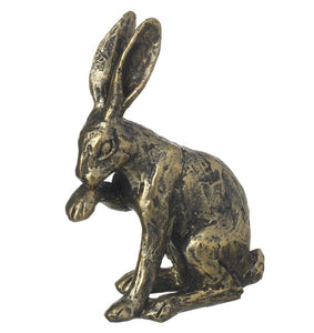 Ornamental Hare