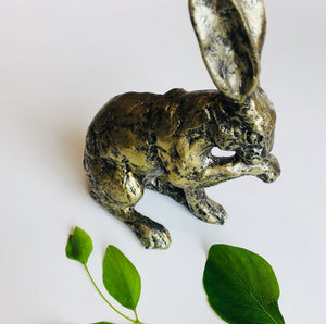 Ornamental Hare