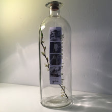Load image into Gallery viewer, Personalised Photograph Message in a Bottle