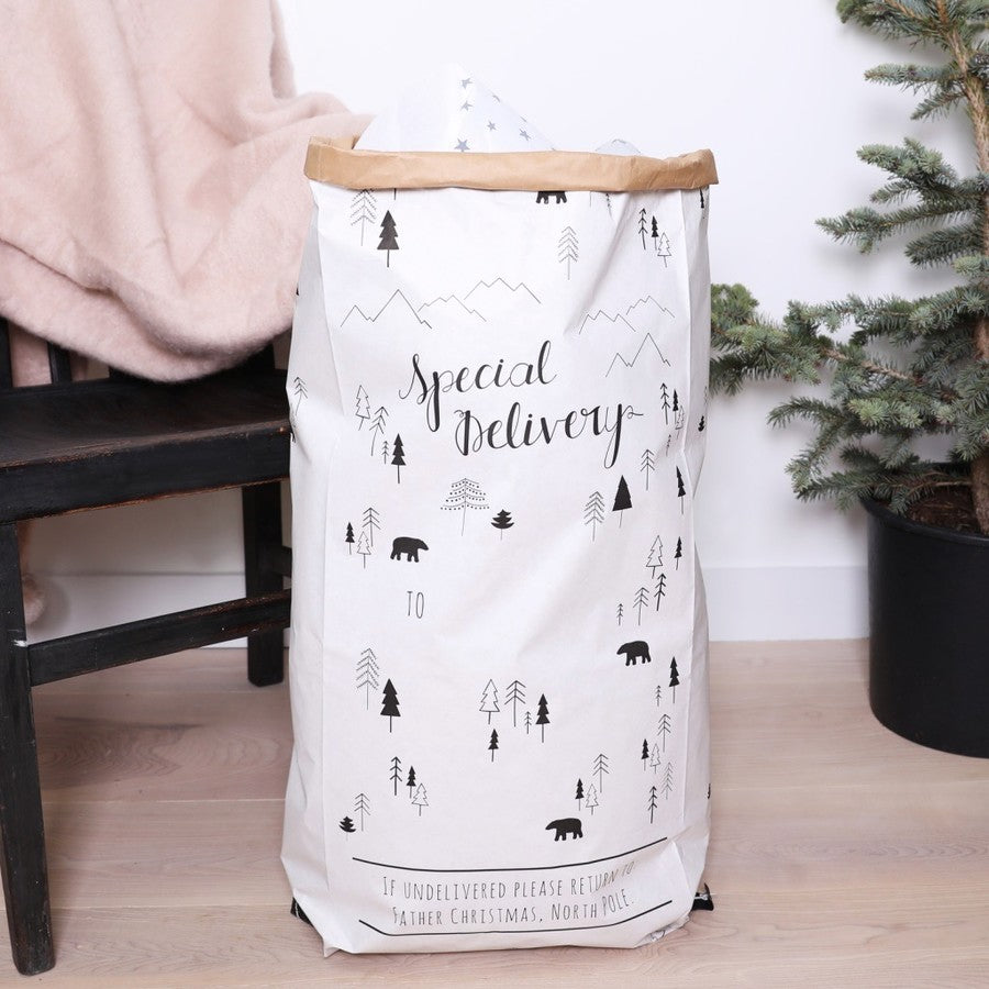Special Delivery Large Christmas Gift Bag