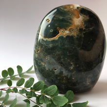 Load image into Gallery viewer, Ocean Jasper Standing Free Form Crystal - The Munro 